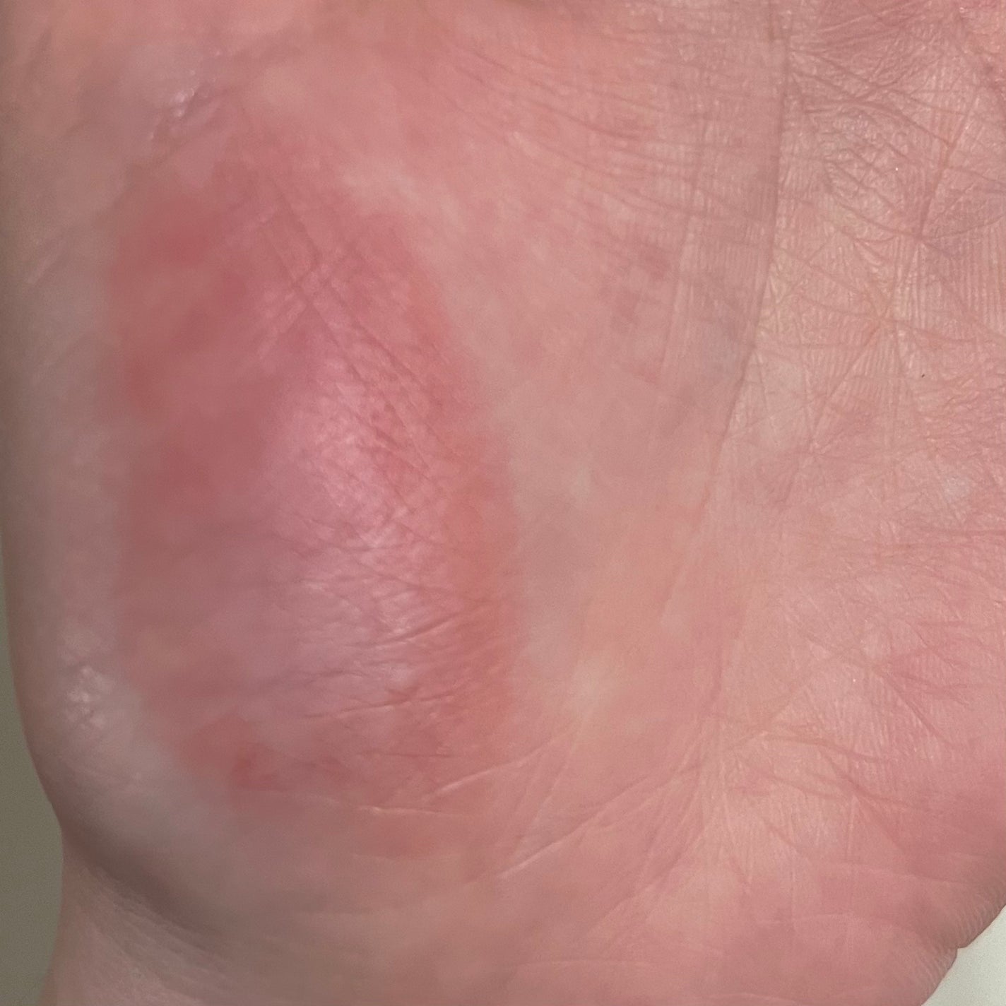 ruru on LIPS 「rom&ndゼロマットリップスティック01ダスティピンク𓐄𓐄𓐄..」(5枚目)