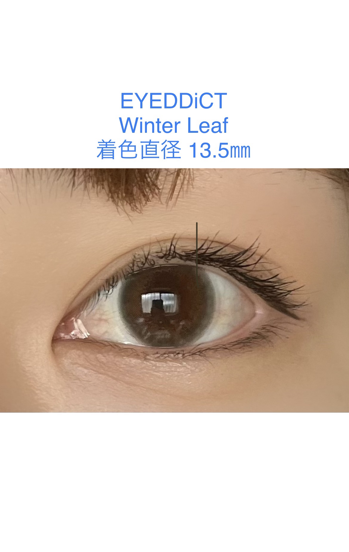 アイディクト byフェアリー #02 ウインターリーフ/FAIRY/カラーコンタクトレンズを使ったクチコミ（1枚目）