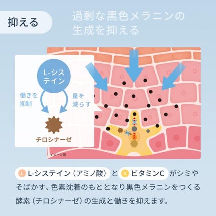 ホワイトCプレミアム(医薬品)/トランシーノ/その他を使ったクチコミ(6枚目)