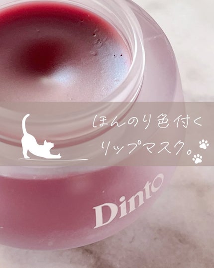 ãã£ããã¡ãŒãªãŒããŠããŠãªãããã¹ã¯/Dinto/ãªãããã¹ã¯ã䜿ã£ãã¯ãã³ãïŒ1æç®ïŒ