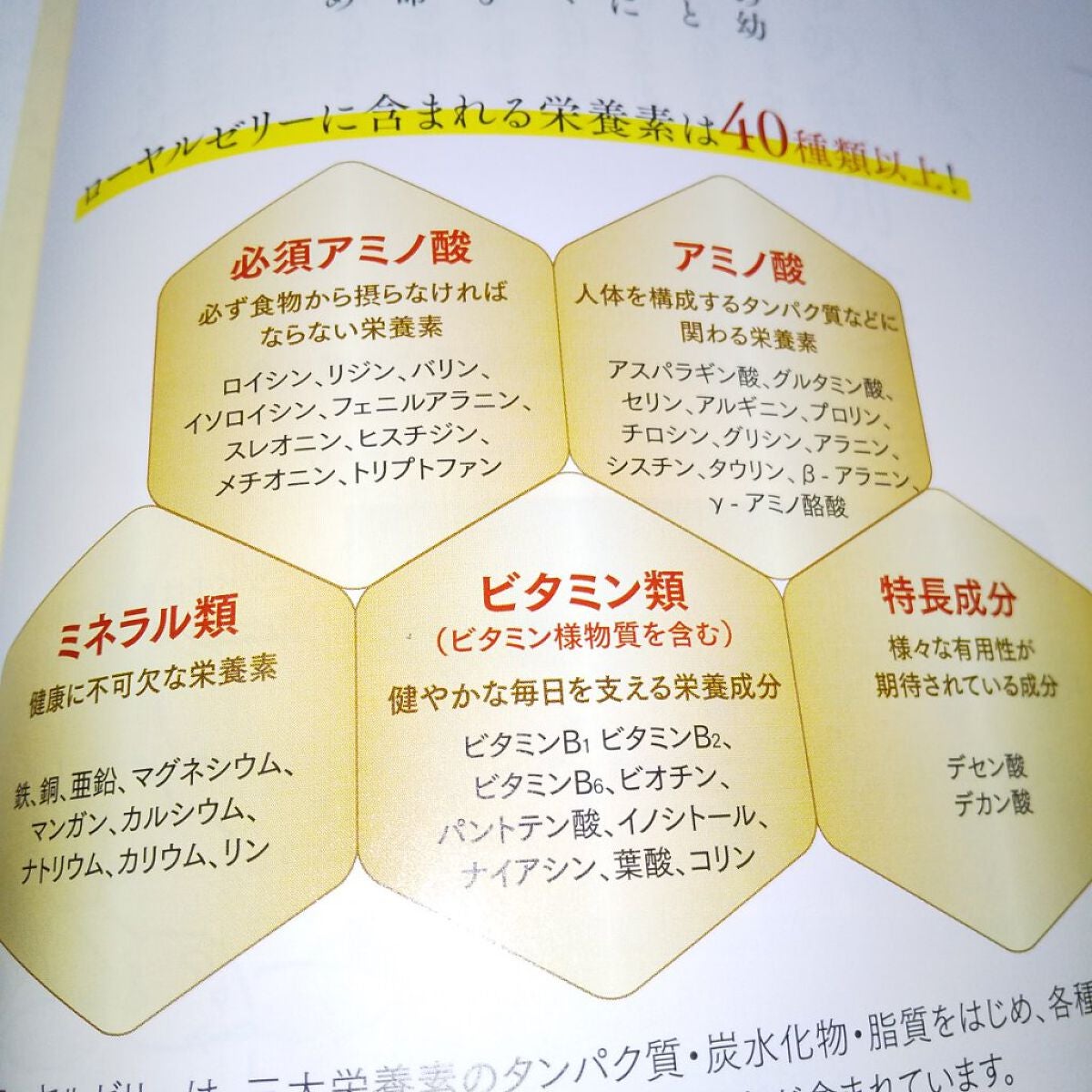 ローヤルゼリーキング/山田養蜂場(健康食品)/健康サプリメントを使ったクチコミ(3枚目)