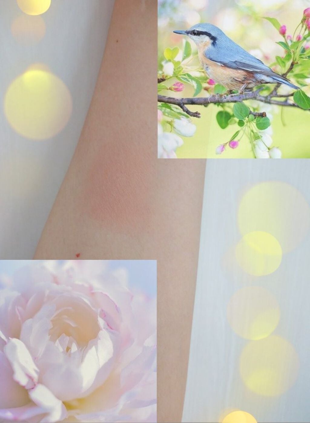 花神シリーズ チークブラッシュ/FlowerKnows/パウダーチークを使ったクチコミ(3枚目)