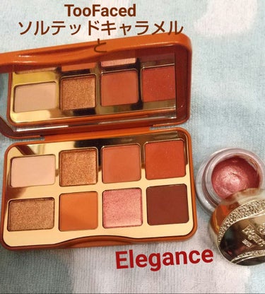 ソルテッド キャラメル ミニ アイシャドウ パレット/Too Faced/パウダーアイシャドウを使ったクチコミ（1枚目）