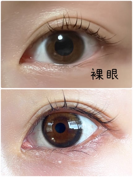 Glowy 1day/OLENS/ワンデー(1DAY)カラコンを使ったクチコミ(1枚目)