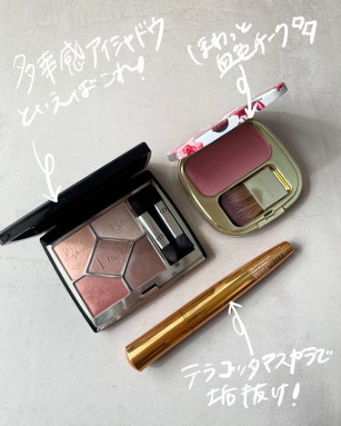 ブラッシュオブローズ ルミナスチークカラー/DOLCE&GABBANA BEAUTY/パウダーチークを使ったクチコミ（2枚目）