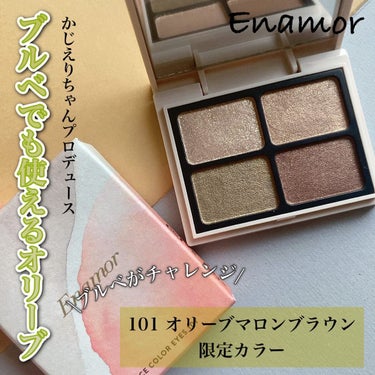 ニュアンスカラーアイズ 101 オリーブマロンブラウン/Enamor/アイシャドウパレットを使ったクチコミ（1枚目）