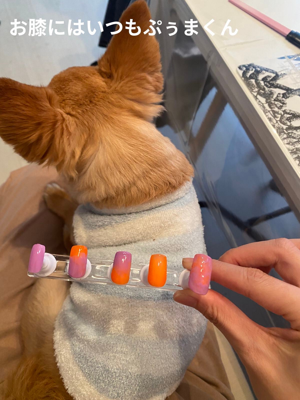 ネイル エナメル 細筆タイプ/ちふれ/マニキュアを使ったクチコミ(7枚目)