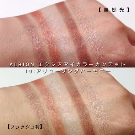 エクシア アイカラー カンテット/ALBION/アイシャドウパレットを使ったクチコミ(6枚目)