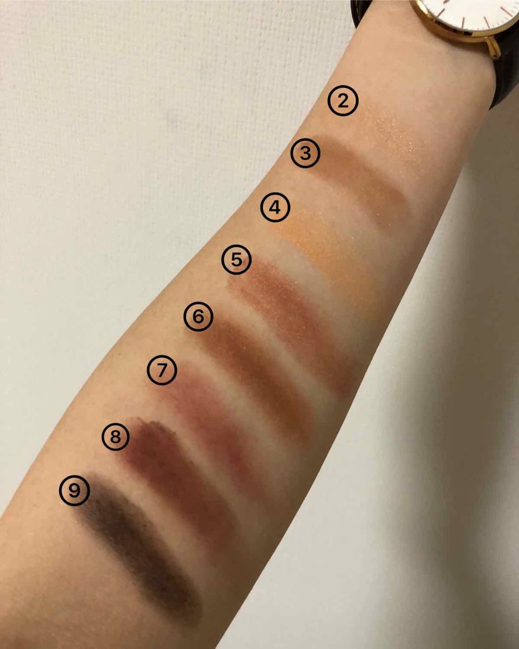 ディオール バックステージ アイ パレット/Dior/アイシャドウパレットを使ったクチコミ(3枚目)