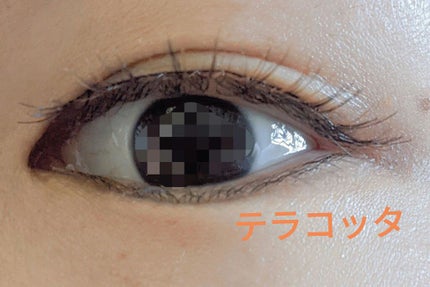 パーフェクトツイーザー/D-UP/その他化粧小物を使ったクチコミ(10枚目)