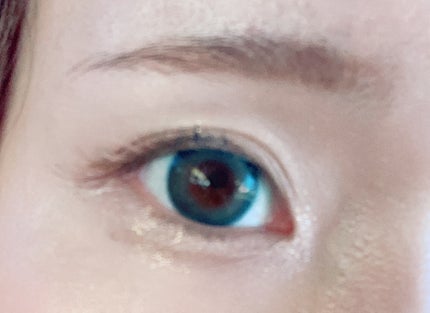 イージーラッシュ No.24 旬顔オレンジブラウン/ドーリーウインク/つけまつげの画像