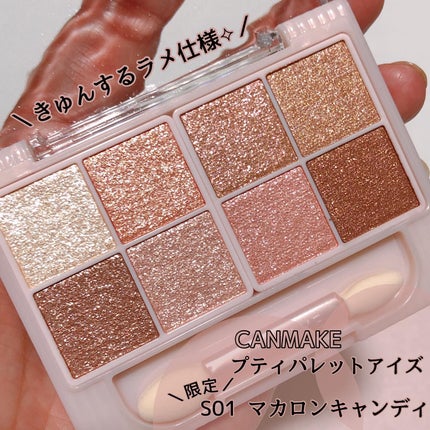 プティパレットアイズ(マットタイプ)/キャンメイク/パウダーアイシャドウを使ったクチコミ(1枚目)