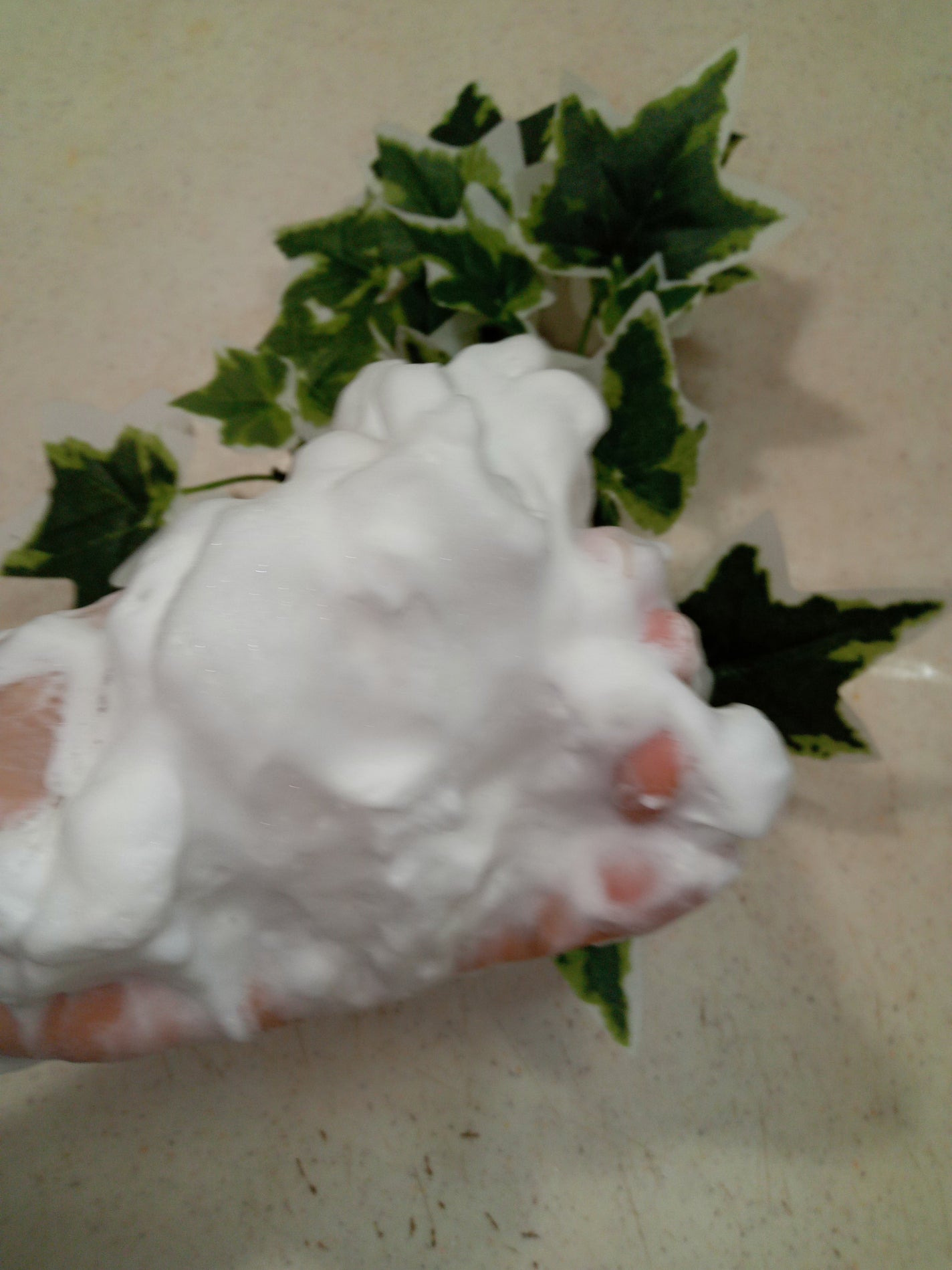 おこめの洗顔クリーム /米屋のまゆちゃん/洗顔フォームを使ったクチコミ(3枚目)