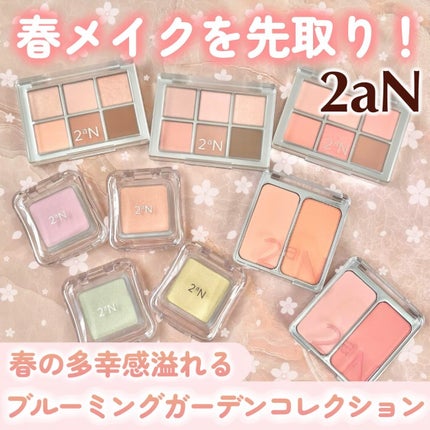 デュアルチーク/2aN/パウダーチークを使ったクチコミ(1枚目)