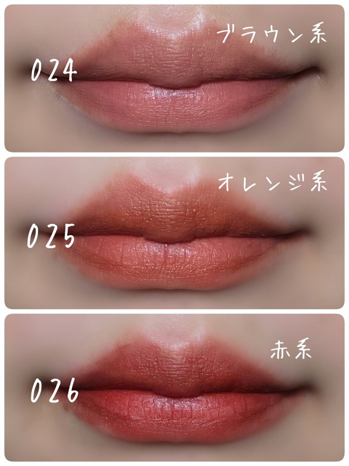 エクスプローラ12色 動物アイシャドウパレット/PERFECT DIARY/アイシャドウパレットを使ったクチコミ(4枚目)