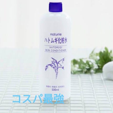 ハトムギ化粧水(ナチュリエ スキンコンディショナー R )/ナチュリエ/化粧水を使ったクチコミ(1枚目)