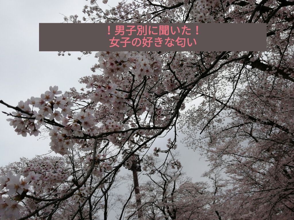 🍓いちご🍓100㌔離れたら美人に見えるよ きっと on LIPS 「🍓いちご🍓デス!今日は…男子別に聞いた! 女性の好きな匂い..」(1枚目)