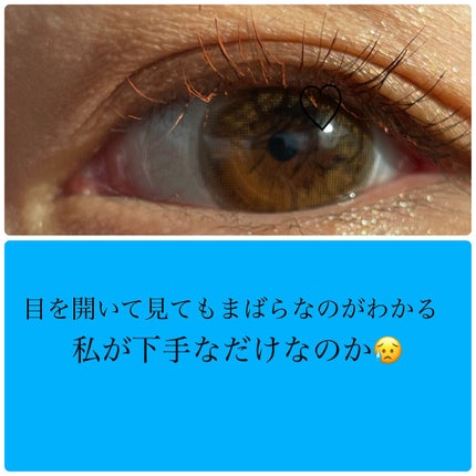 ラッシュエキスパンダー エッジマイスター F/MAJOLICA MAJORCA/マスカラを使ったクチコミ(4枚目)