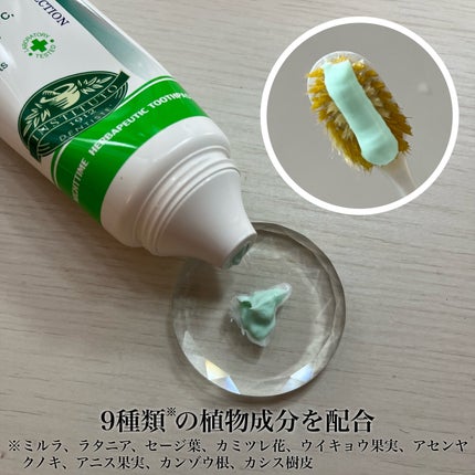 デンティス チューブタイプ/デンティス/歯磨き粉を使ったクチコミ(3枚目)