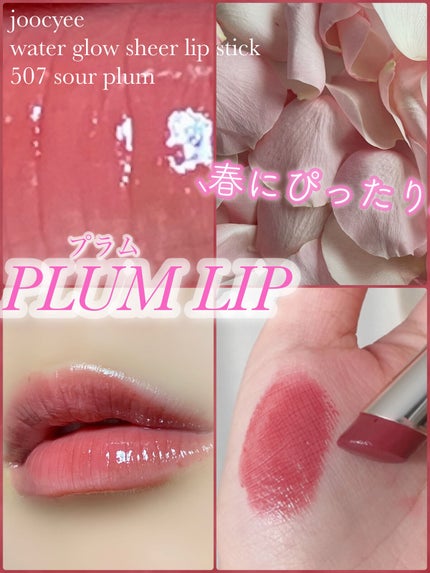 夏禅シリーズ 水光シアーリップスティック/Joocyee/口紅を使ったクチコミ(1枚目)