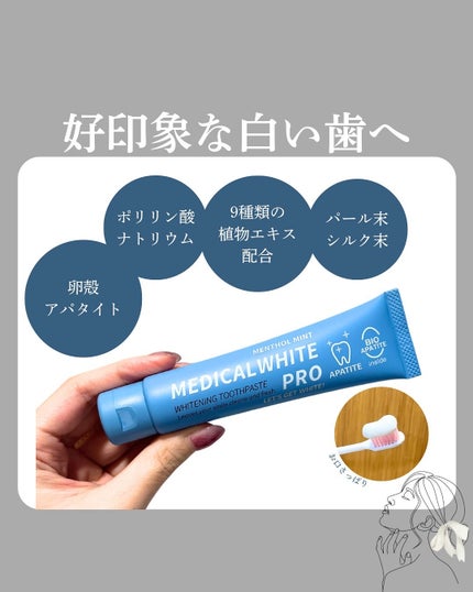 ã¡ãã£ã«ã«ãã¯ã€ããã/æ¥æ¬ã¡ãã£ã«ã«ç ç©¶æ/æ¯ç£šãç²ã䜿ã£ãã¯ãã³ãïŒ1æç®ïŒ