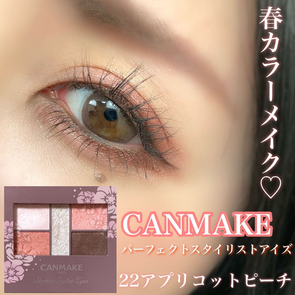 パーフェクトスタイリストアイズ/キャンメイク/アイシャドウパレットを使ったクチコミ(1枚目)