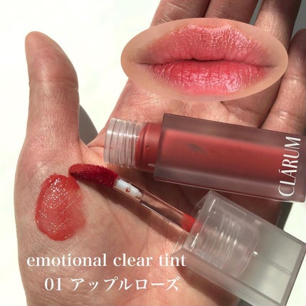 ファーストバードアイシャドウパレット/CLARUM/アイシャドウパレットを使ったクチコミ(6枚目)