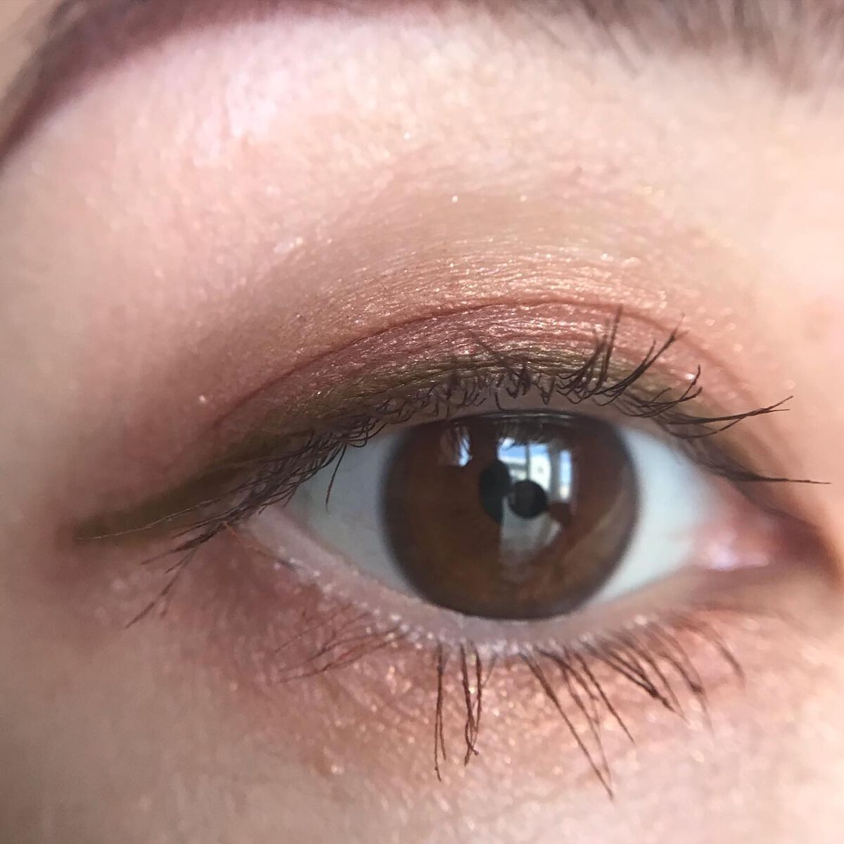 【旧】サンク クルール クチュール/Dior/アイシャドウパレットを使ったクチコミ（2枚目）