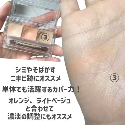 パレットコンシーラー ハイカバー/CEZANNE/パレットコンシーラーを使ったクチコミ(6枚目)