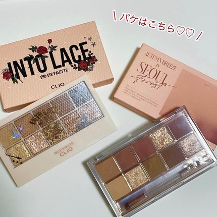 プロ アイ パレット/CLIO/アイシャドウパレットを使ったクチコミ(6枚目)