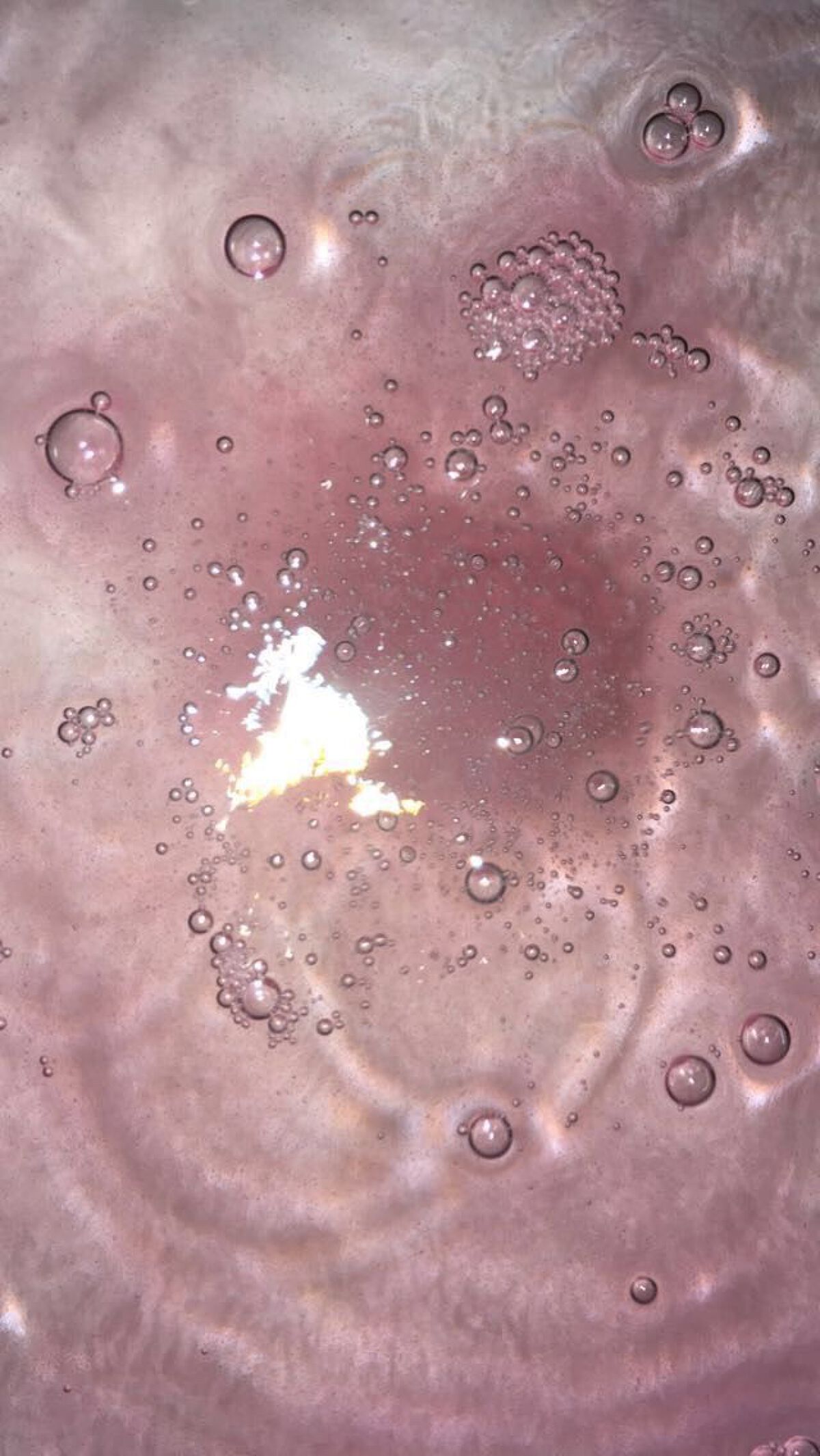 ラッシュエキスパンダー ロングロングロング EX/MAJOLICA MAJORCA/マスカラを使ったクチコミ(1枚目)