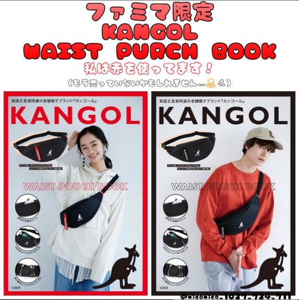 オペラ リップティント N/OPERA/リップティントを使ったクチコミ(2枚目)