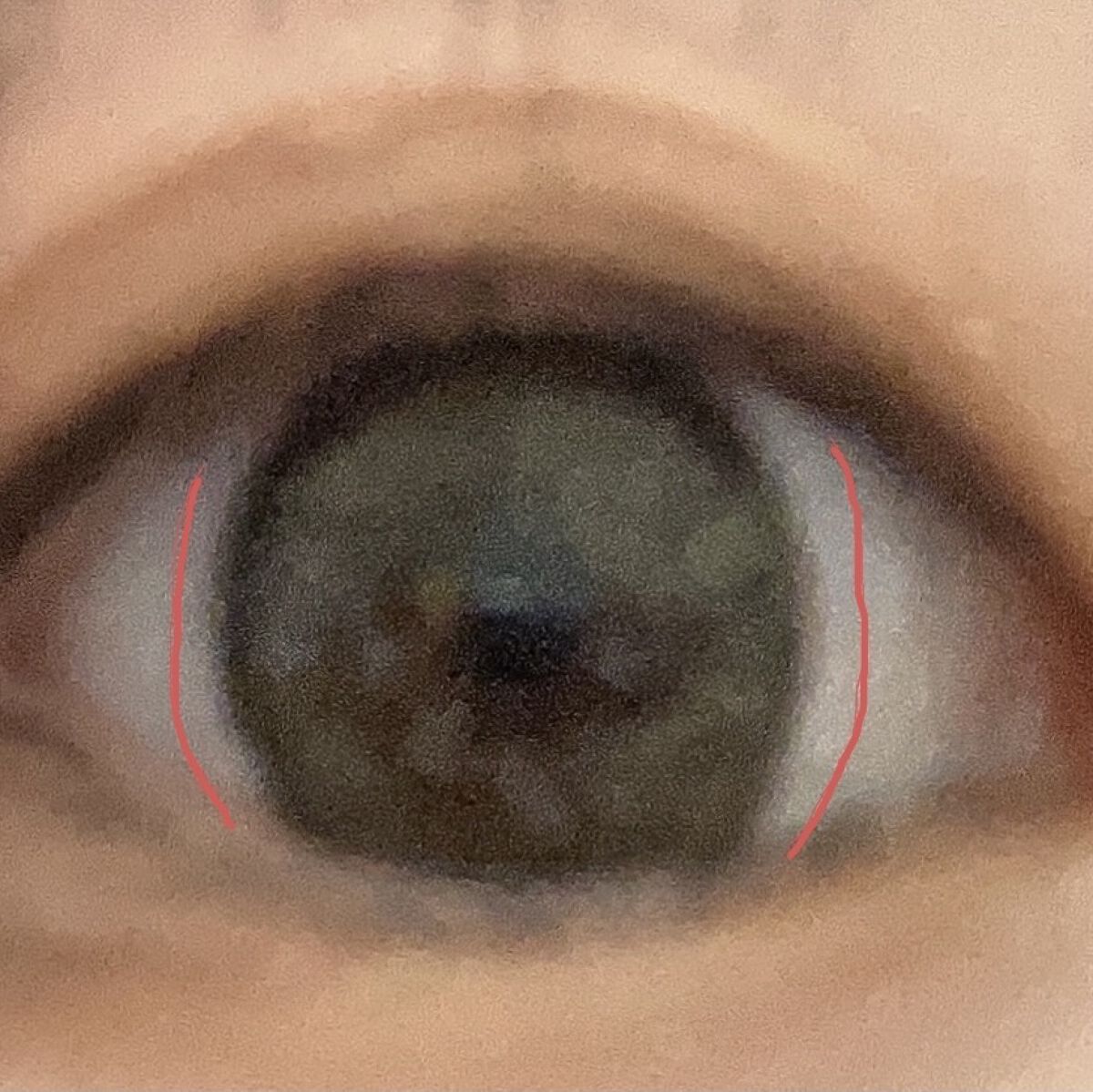 MOLAK 1day/MOLAK/ワンデー（１DAY）カラコンを使ったクチコミ（2枚目）