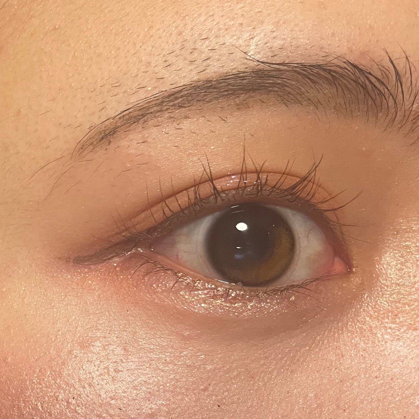 アディクション ザ アイシャドウ プリズム/ADDICTION/単色アイシャドウを使ったクチコミ(2枚目)