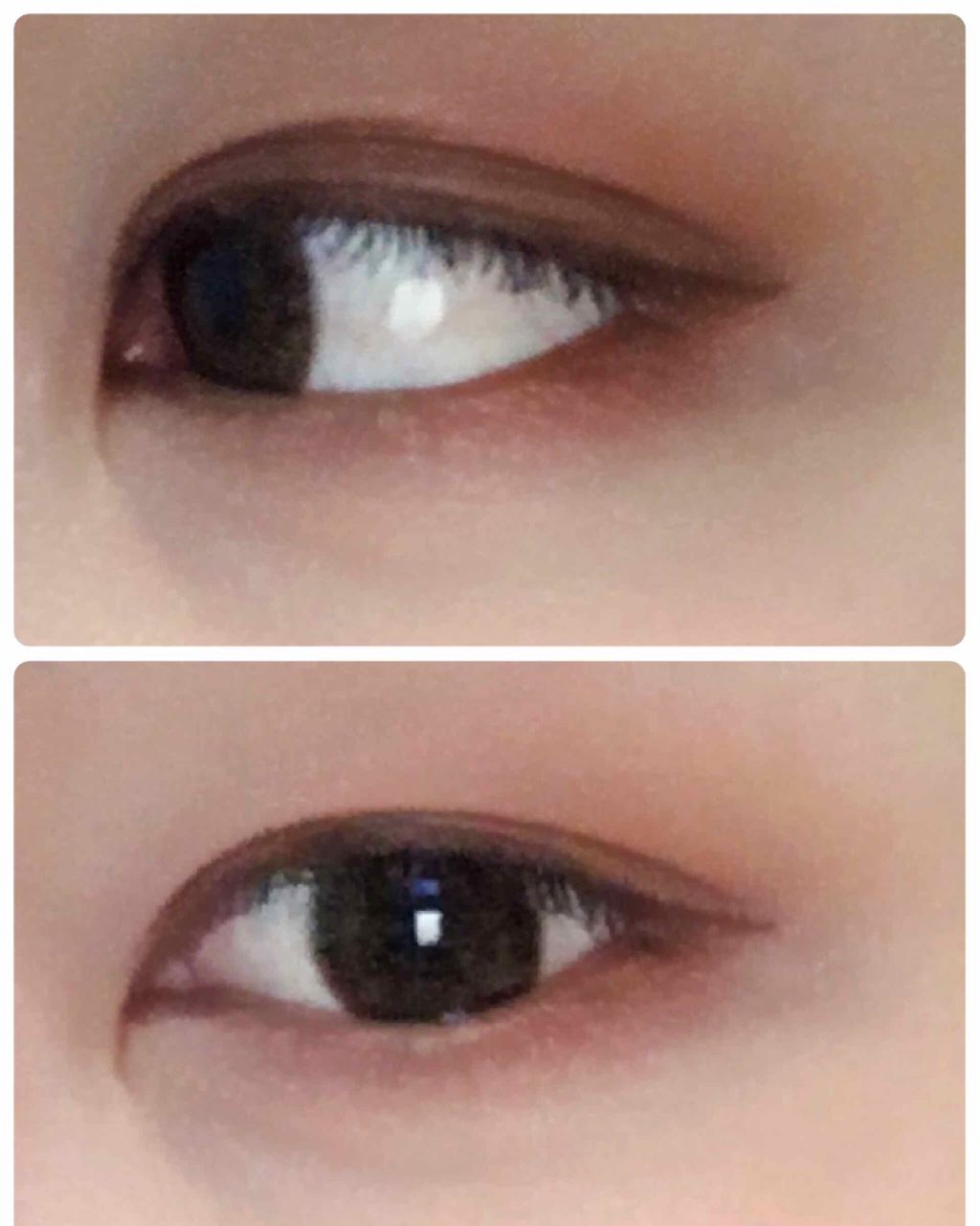 ロイヤルヴィンテージ アイズ/リンメル ロンドン/アイシャドウパレットを使ったクチコミ（3枚目）