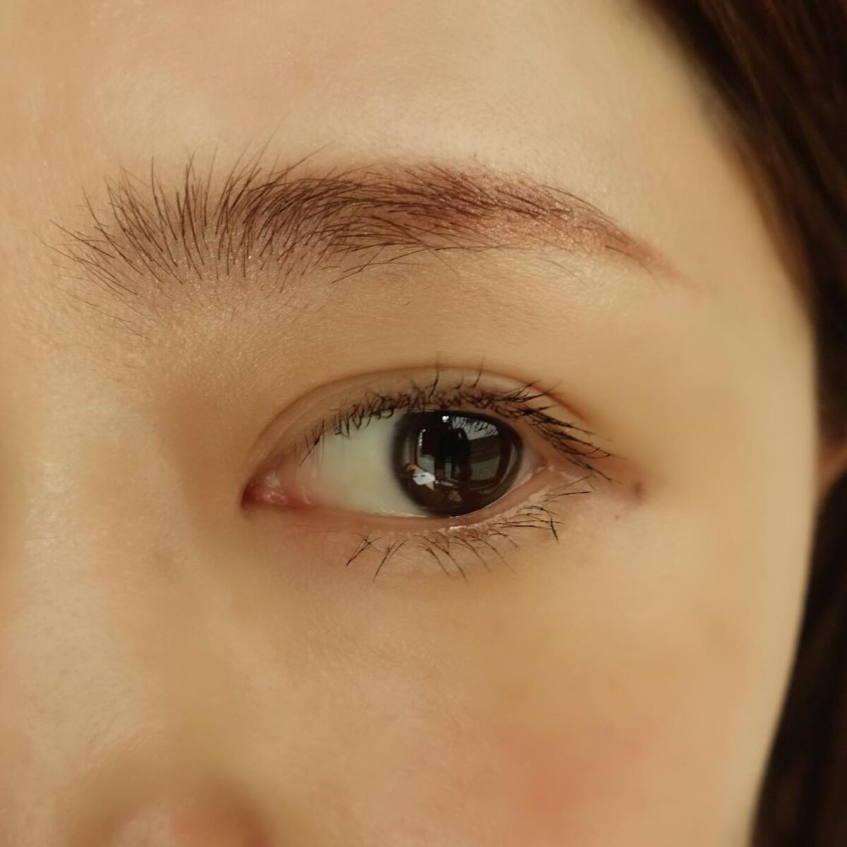 セルヴォーク インディケイトアイブロウパウダー/Celvoke/パウダーアイブロウを使ったクチコミ(4枚目)