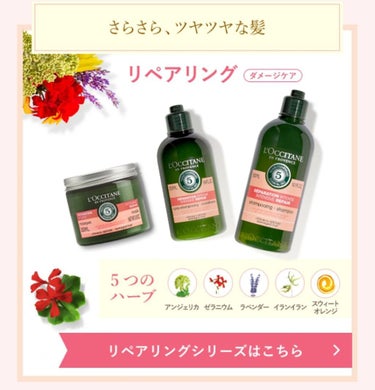 ファイブハーブスリペアリングシャンプー／コンディショナー/L'OCCITANE/シャンプー・コンディショナーを使ったクチコミ（4枚目）