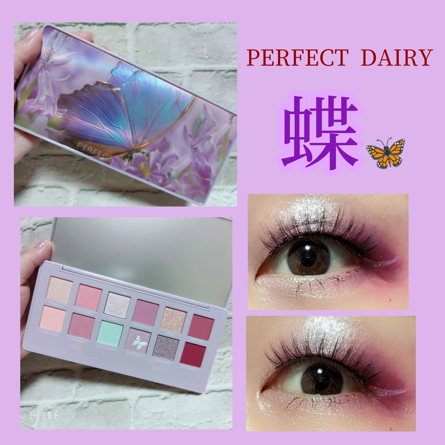 エクスプローラ12色 動物アイシャドウパレット/PERFECT DIARY/アイシャドウパレットを使ったクチコミ(1枚目)