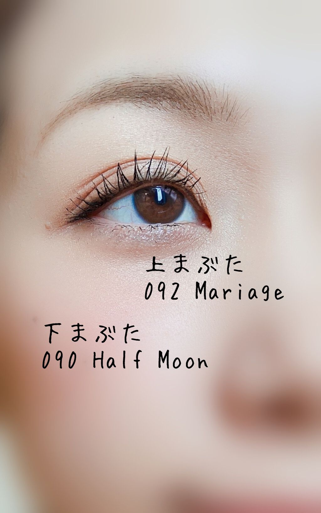 フローラ アイシャドウ マスタード/Zuii ORGANIC/単色アイシャドウを使ったクチコミ（3枚目）