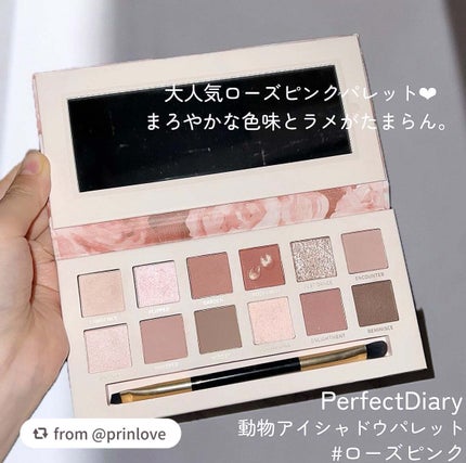 エクスプローラ12色 動物アイシャドウパレット/PERFECT DIARY/アイシャドウパレットを使ったクチコミ(2枚目)