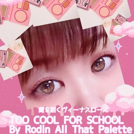 バイロダンオールザットパレット/too cool for school/アイシャドウパレットを使ったクチコミ(1枚目)