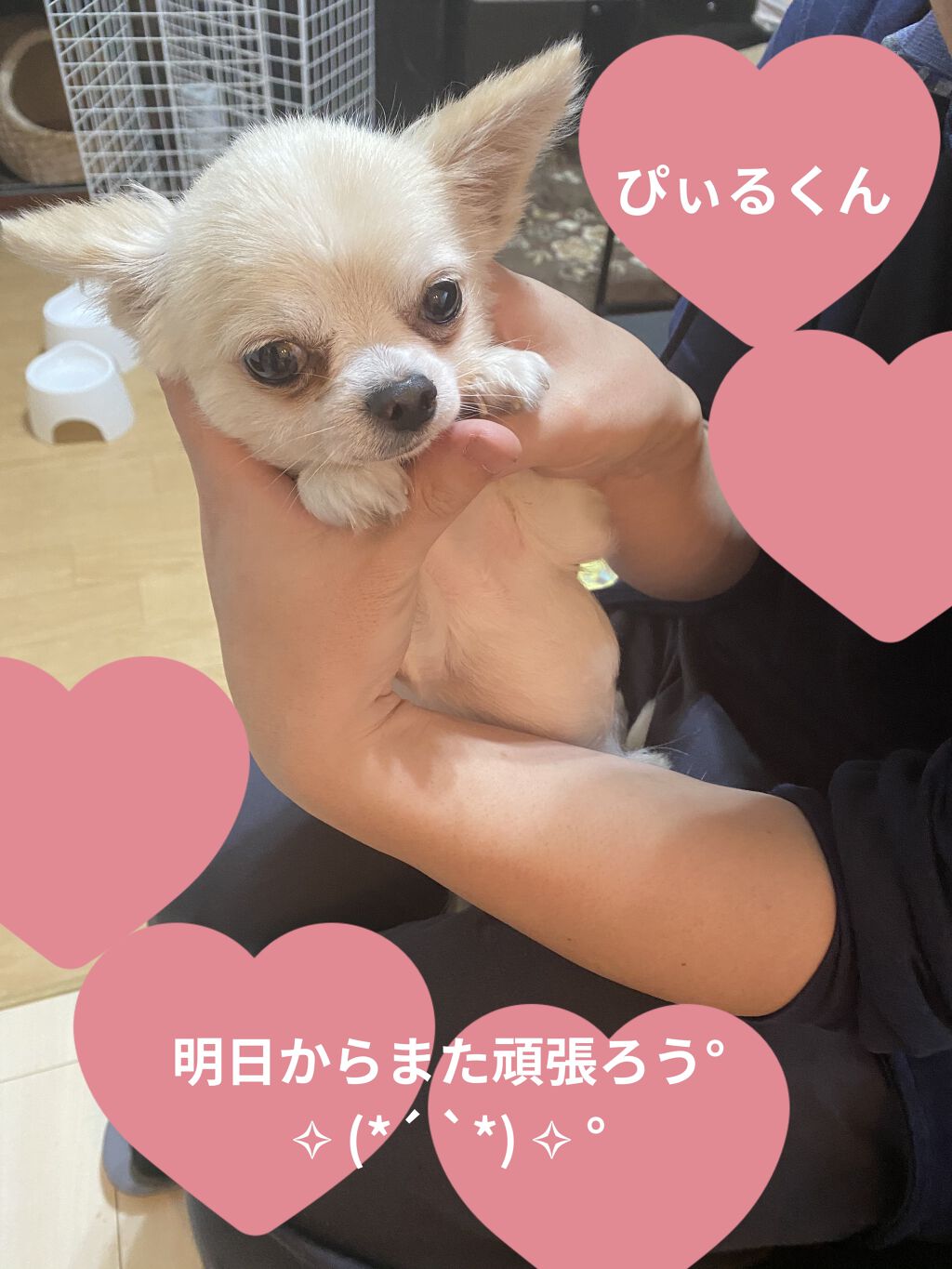 プレミアムヘアクリニックスーパーパック/KUNDAL/ヘアマスク・ヘアパックを使ったクチコミ（3枚目）