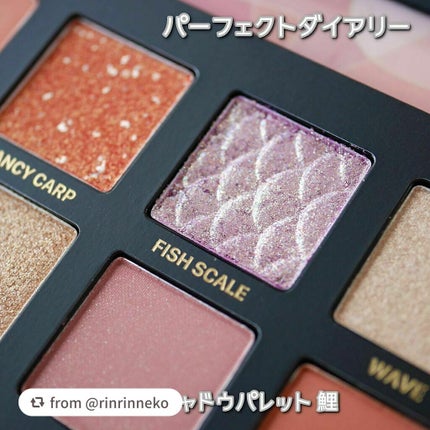 エクスプローラ12色 動物アイシャドウパレット/PERFECT DIARY/アイシャドウパレットを使ったクチコミ(3枚目)