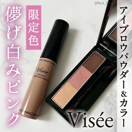 ヴィセ リシェ アイブロウパウダー/Visée/パウダーアイブロウを使ったクチコミ(1枚目)