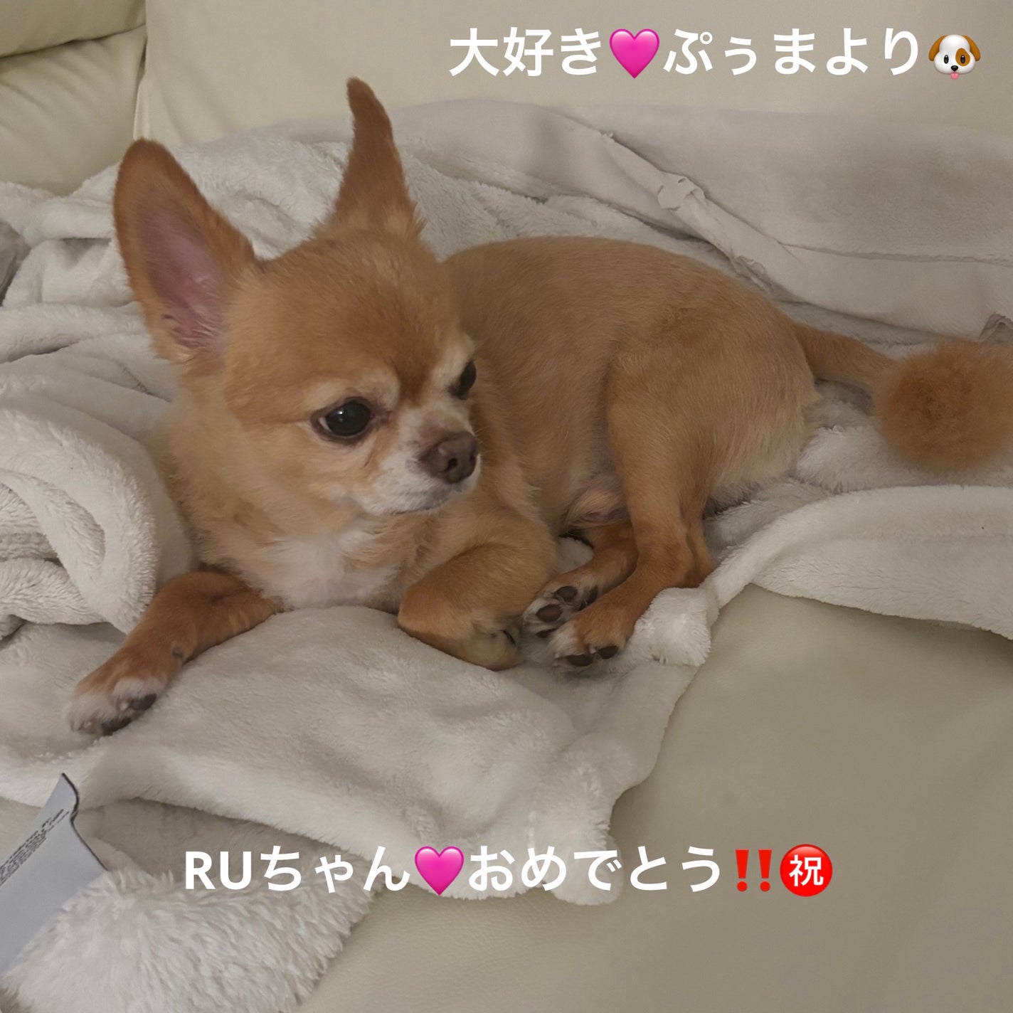 カラフルネイルズ/キャンメイク/マニキュアを使ったクチコミ(7枚目)