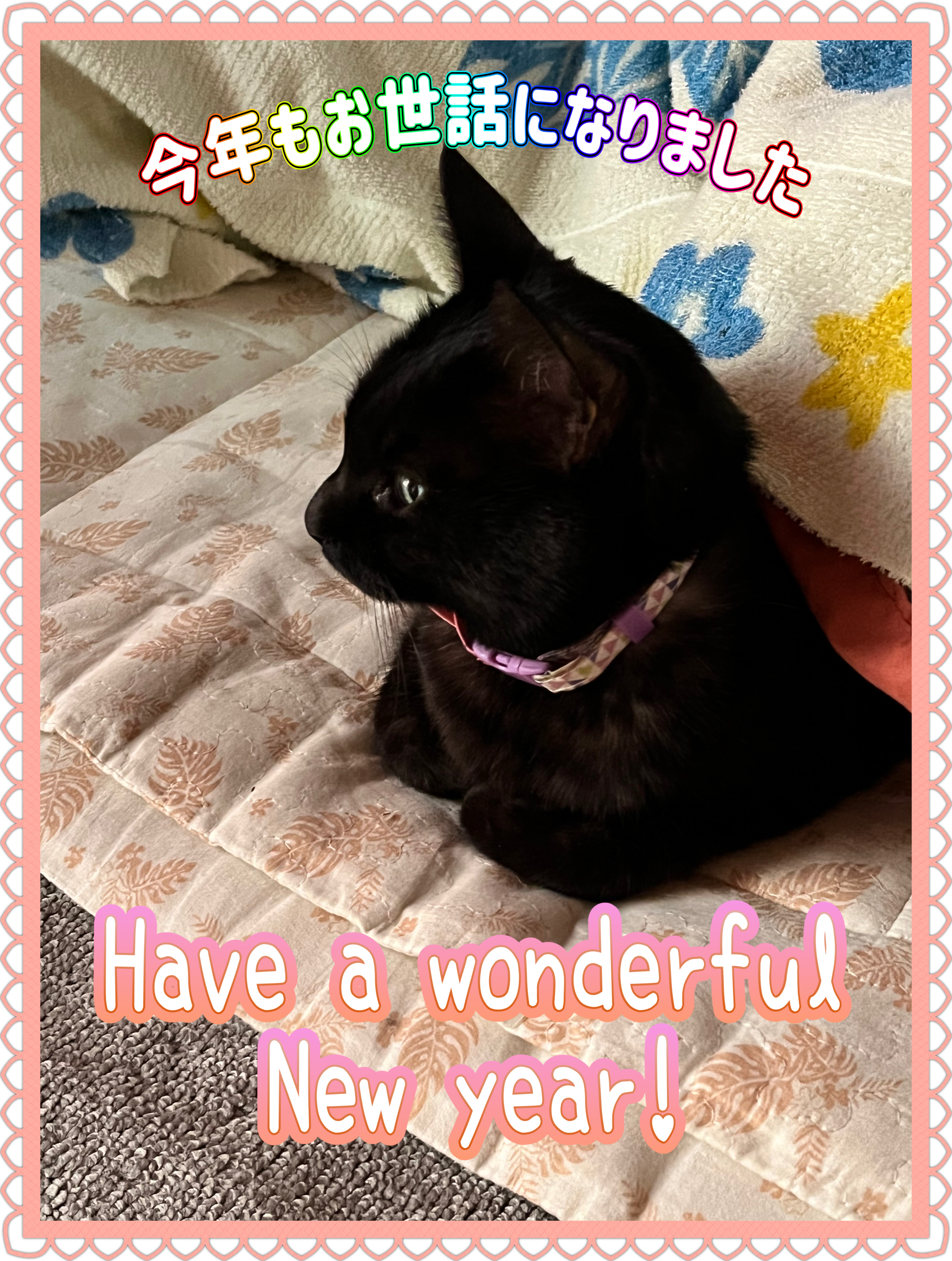 ambrosia🐈‍⬛💕のクチコミ「あーっという間に今年も終わりですなぁ
長かった夏、速攻消えた秋にいきなりの冬
色々ありましたが.....」（1枚目）