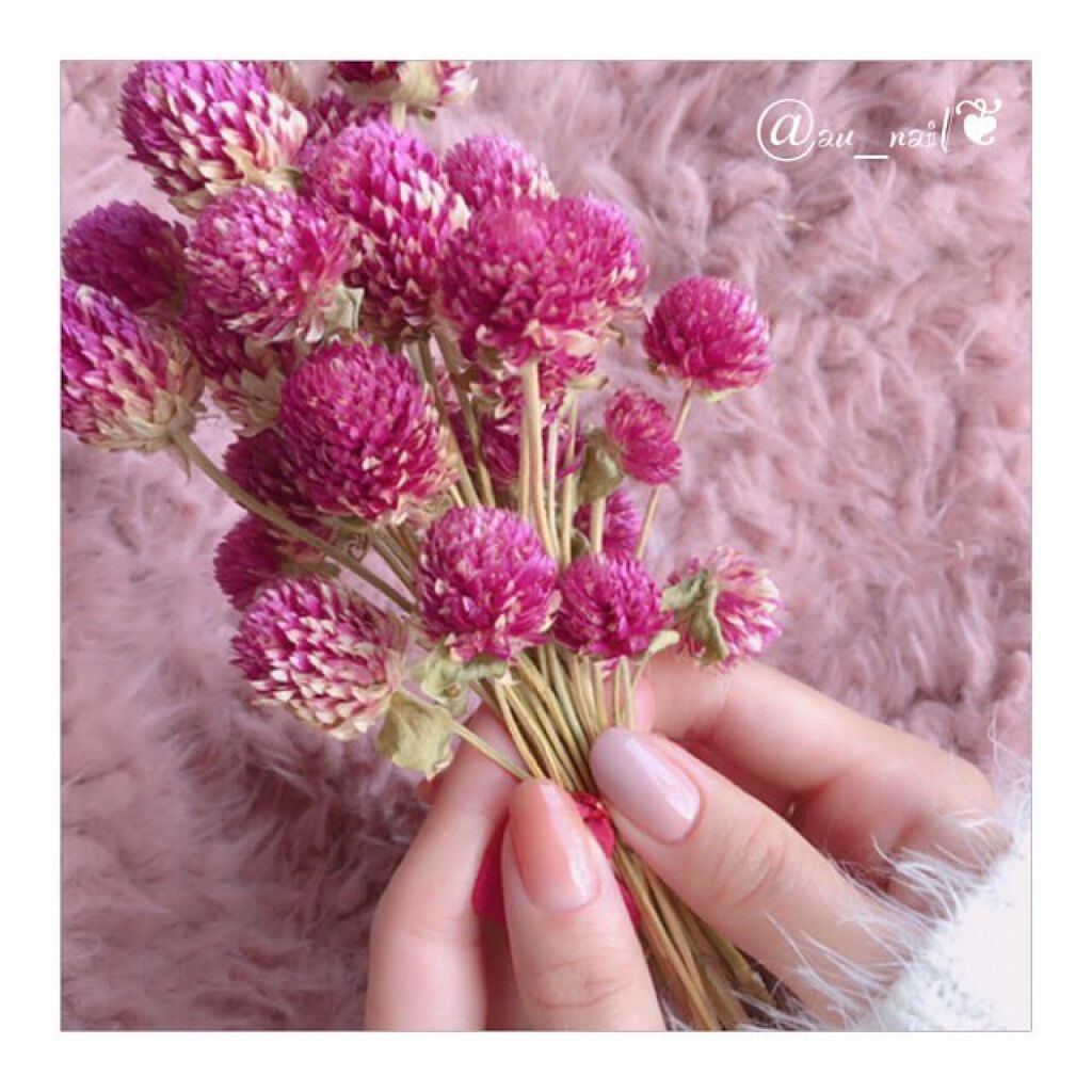 ウィークリージェル/HOMEI/ジェルネイルを使ったクチコミ(4枚目)