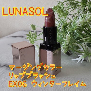マージングカラーリップブラッシュ EX06 Winter Flame/LUNASOL/口紅を使ったクチコミ（1枚目）