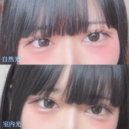 Honey kiss 1day ちゅるんグレー/HoneyKiss/ワンデー(1DAY)カラコンの画像