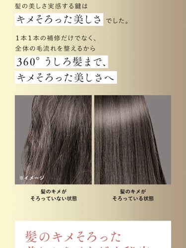 THE BEAUTY 髪のキメ美容シャンプー／コンディショナー＜モイストリペア＞	/エッセンシャル/シャンプー・コンディショナーを使ったクチコミ（4枚目）